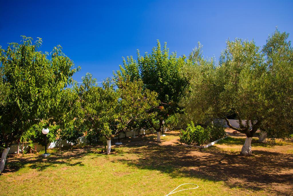 Studio Nastasia Afytos Exteriér fotografie